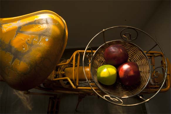 Mastering One Light Photography: Simplicity and Creativity Combined