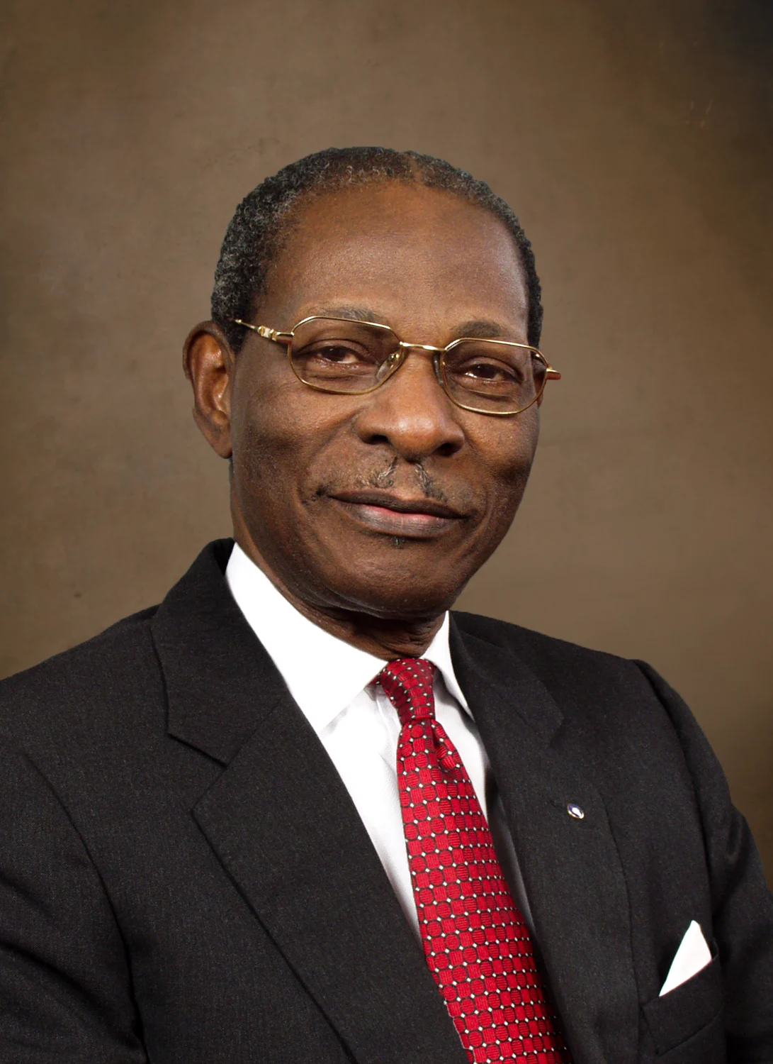 Director's portrait of Late Gamaliel Onosode